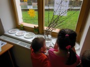 Rychlíme semínka a pozorujeme